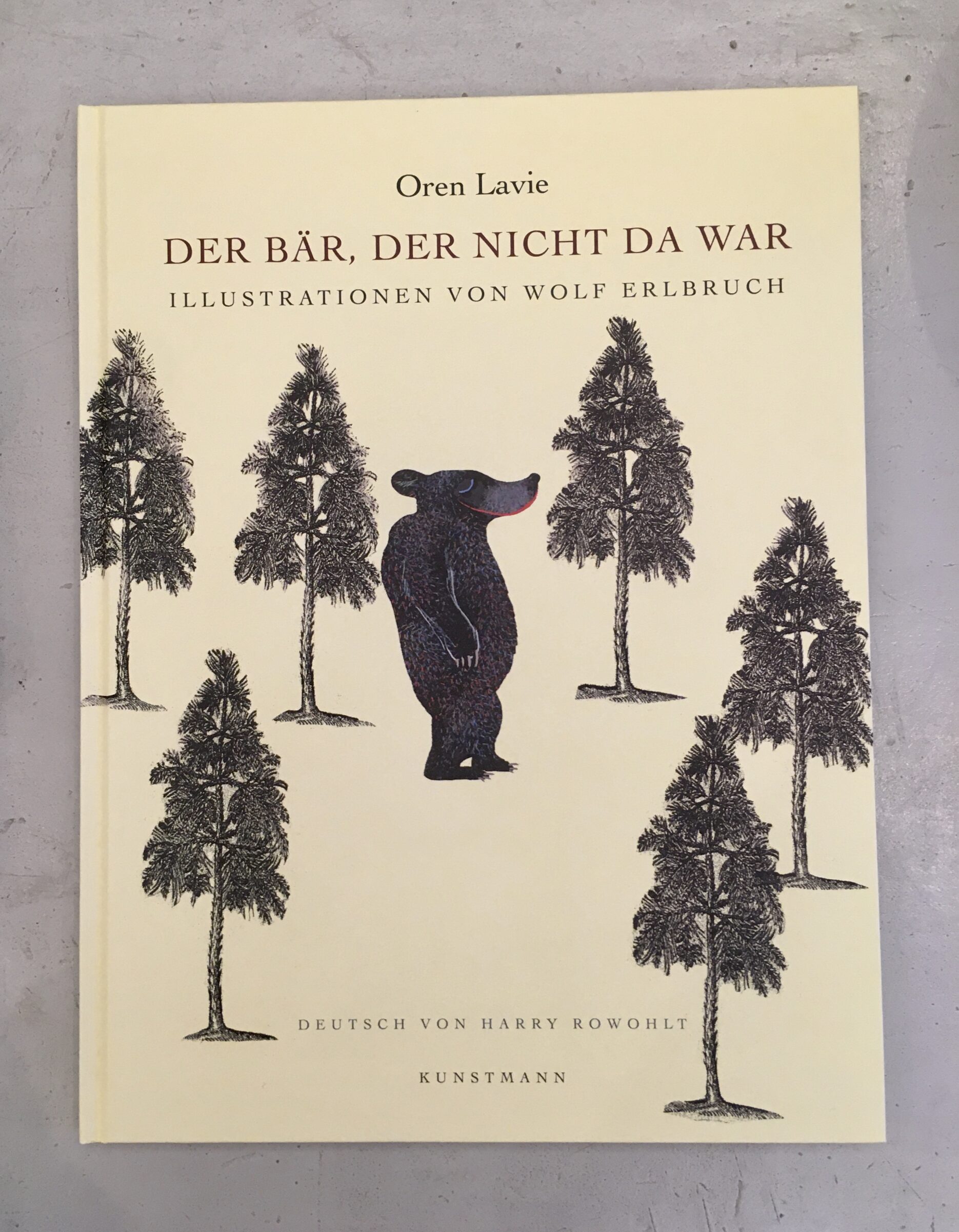 Buch Der Bär, der nicht da war